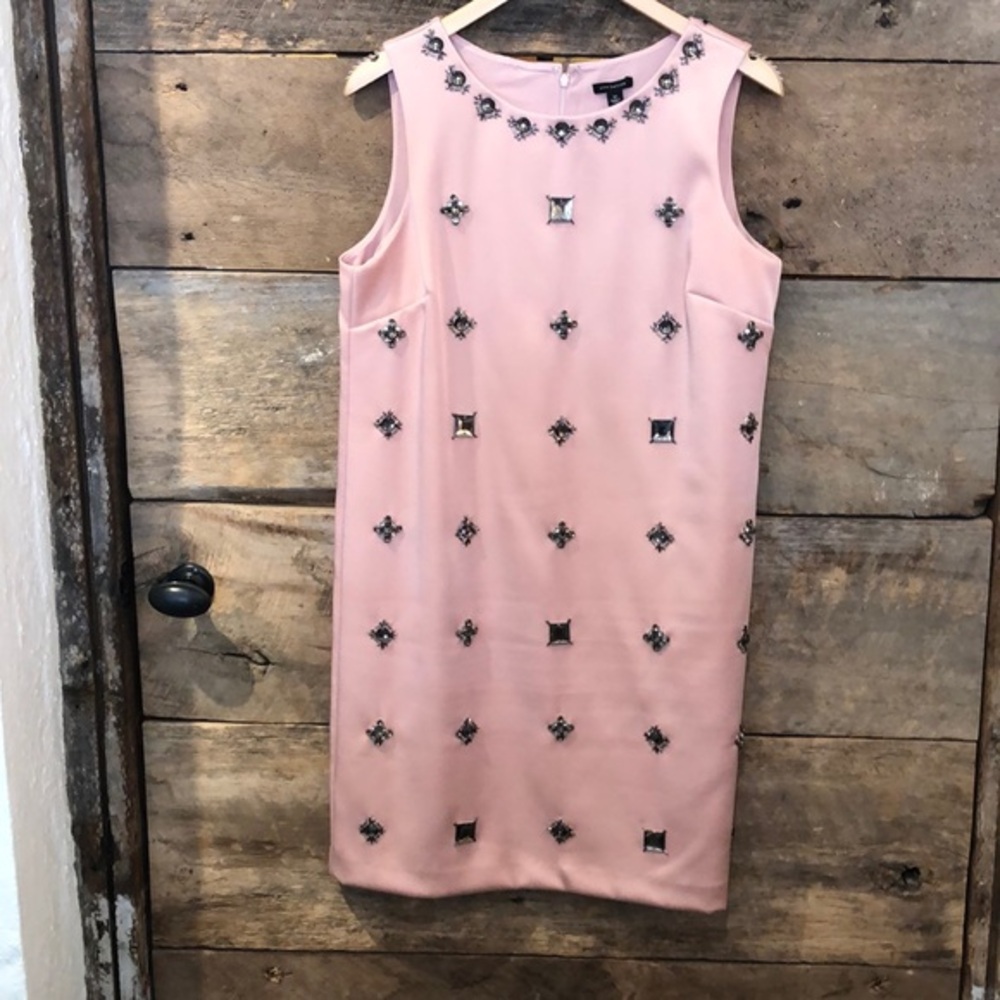 Ann Taylor Pink Embellished Dress